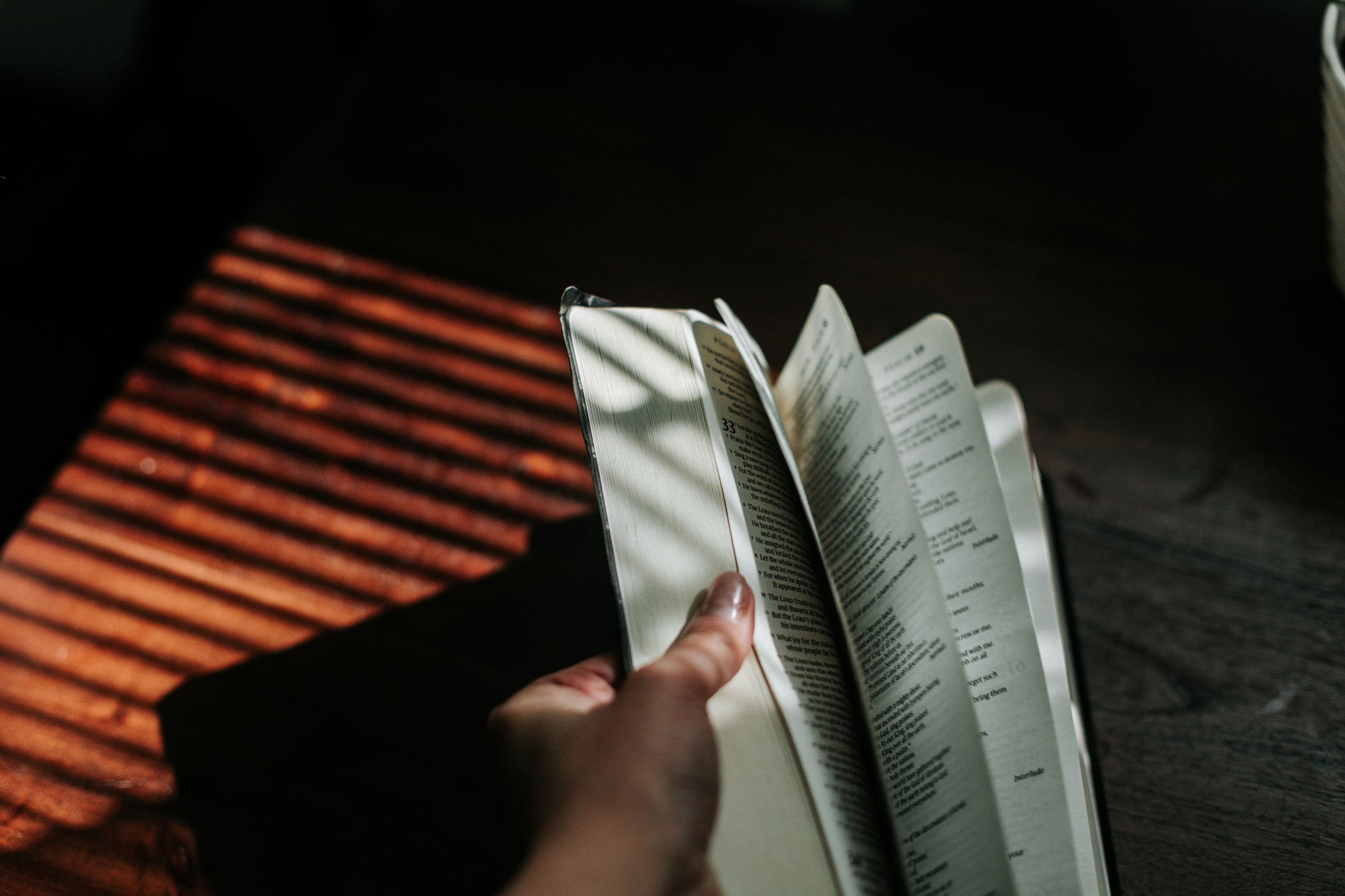 illustration of book pages